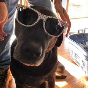 Meet your Posher, Kaley